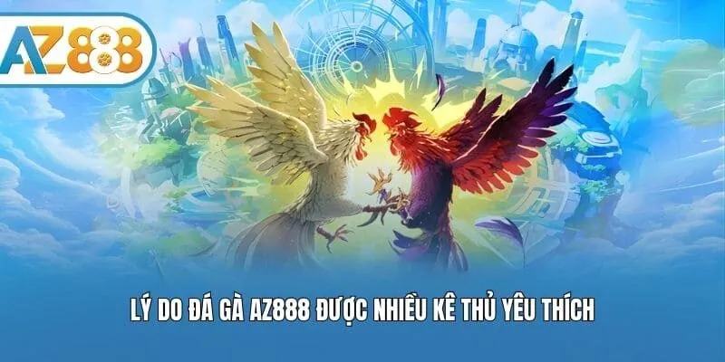 Lý do đá gà AZ888 được nhiều kê thủ yêu thích